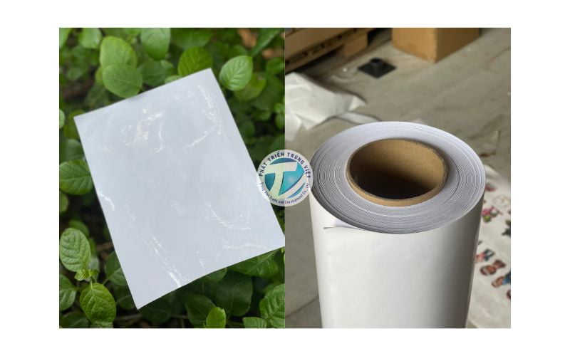 Phát Triển Trung Việt chuyên cung cấp decal nhựa trong giá sỉ